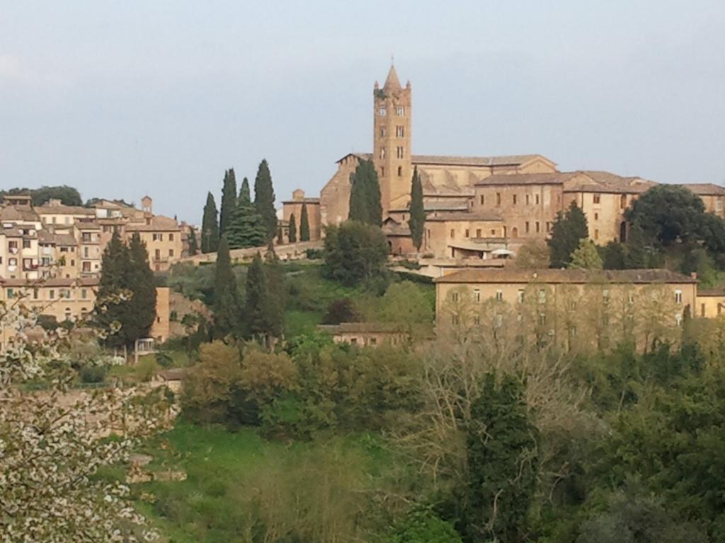 Antica Dimora Lägenhet Monteroni dʼArbia Rum bild