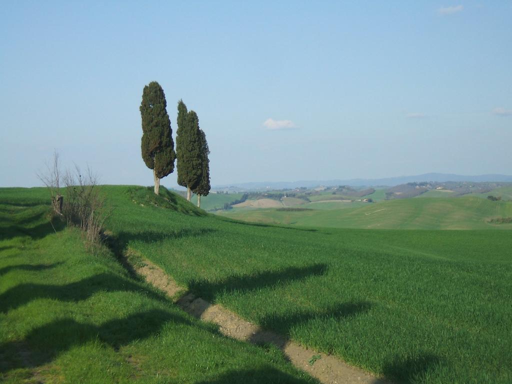 Antica Dimora Lägenhet Monteroni dʼArbia Rum bild